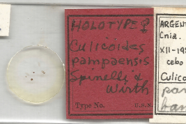 slide Holotype