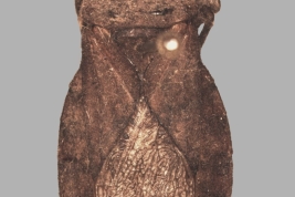 <i>Spartocera brevicornis</i>. La Plata Museum.