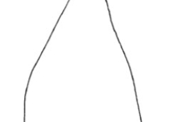 Falo. De Angrisano (1984).