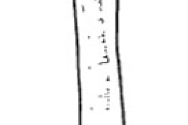 Falo. Tomado de Angrisano (1995).
